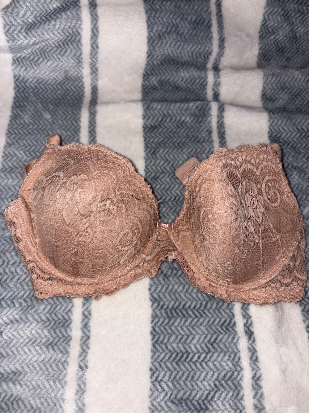 Lace Padded Bra